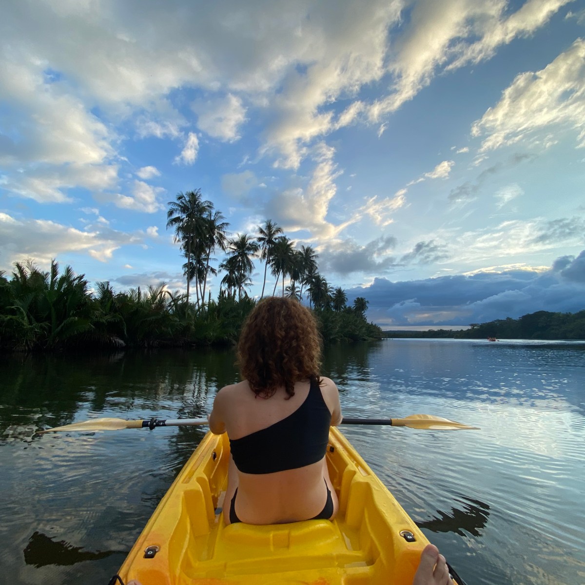 The Travel Advisor vs The Internet: The resurgence of the Luxury Travel&nbsp;Advisor